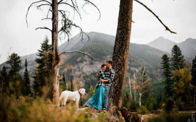 Greg + Sally // Rustic Mountain Montana Wedding