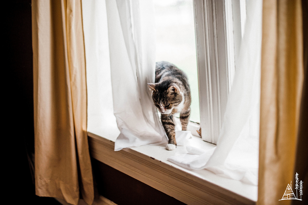 Wayne + Tim / Kentucky Vintage Shop Wedding - Kendra Stanley Mills Photography