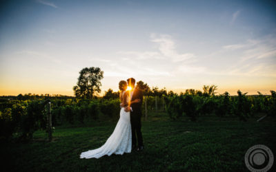 Seth + Clare // Ciccone Vineyard Wedding