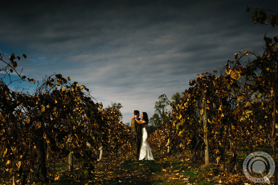 Patrick + Arielle // Willow Harbor Vineyard Wedding