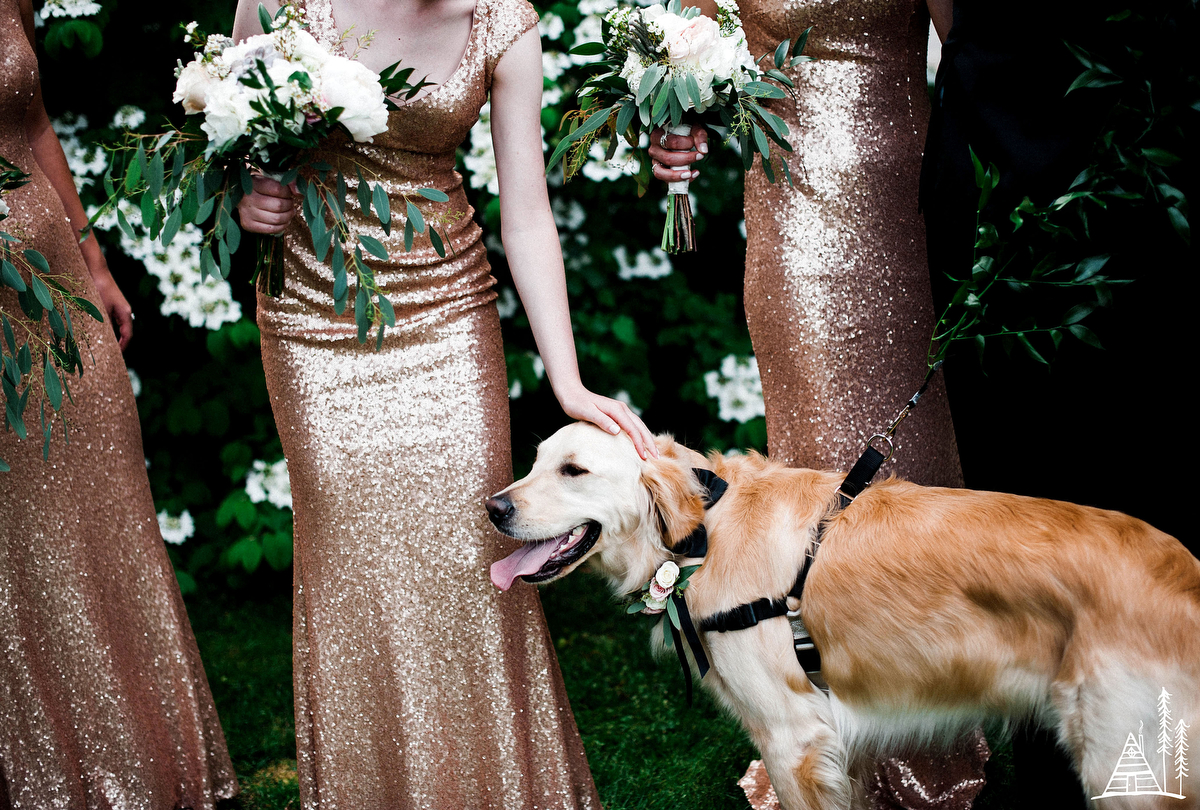 Erik + Molly Spring Lake Country Club Wedding - Kendra Stanley-Mills Photography